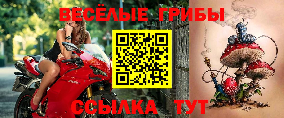 Галлюциногенные грибы GOLDEN TEACHER Переславль-Залесский