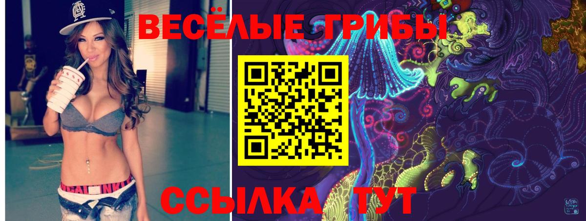 Галлюциногенные грибы Psilocybine cubensis  Псилоцибиновые грибы GOLDEN TEACHER  Переславль-Залесский  Вход с VPN 